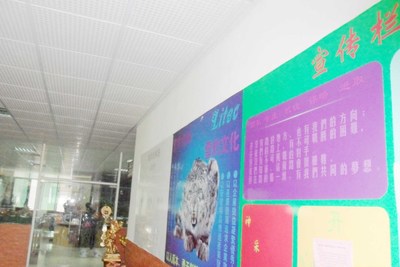 廣州市增城來(lái)利電子加工廠的鏡界銷(xiāo)售策略分析